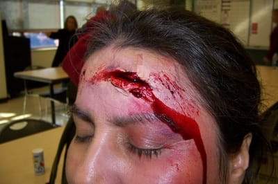 Phoenix Face Painter Airbrush Tattoo Artist Special Effects Makeup