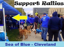 Sea of Blue