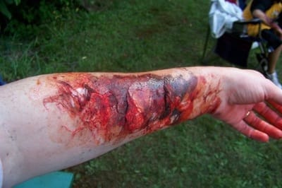Phoenix Face Painter Airbrush Tattoo Artist Special Effects Makeup
